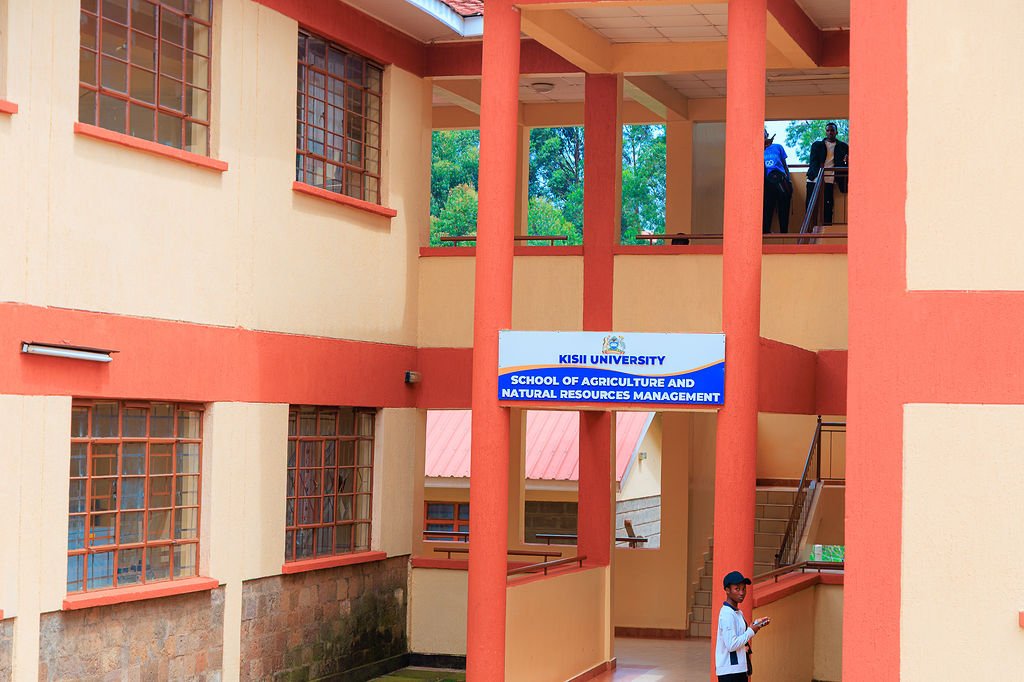 Green university campus grounds
